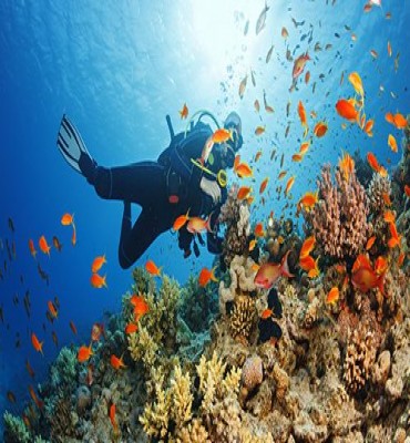 Snorkeling at Dahab | Egypt Day Tours